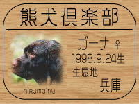 DOGLAB�����HP��GO!